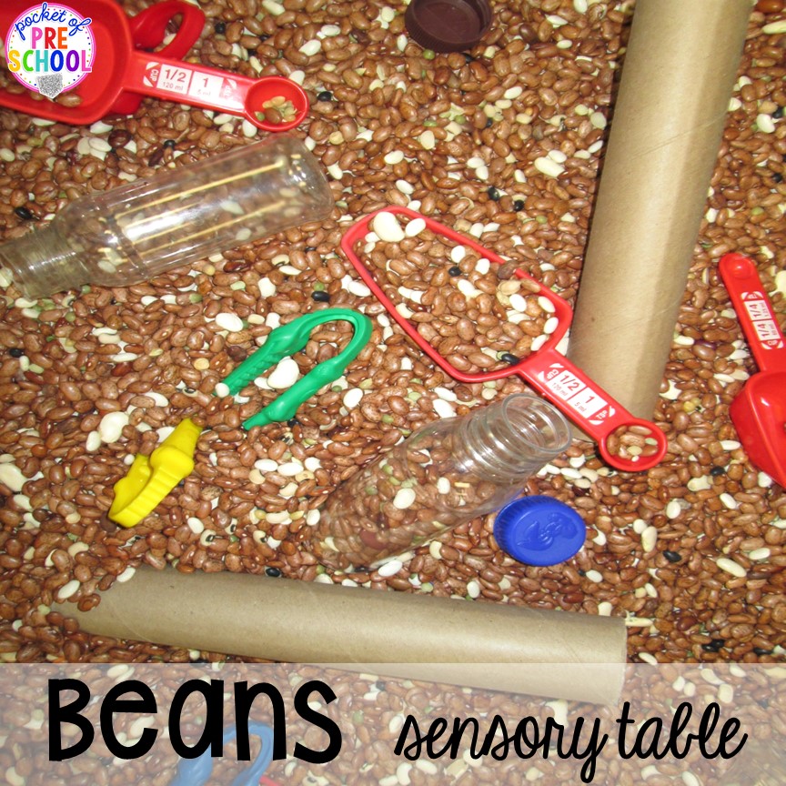 Dried beans sensory table plus tons more food and nutrition centers for preschool, pre-k, and kindergarten: reading, writing, math, fine motor, dramatic play, STEM, and art!
