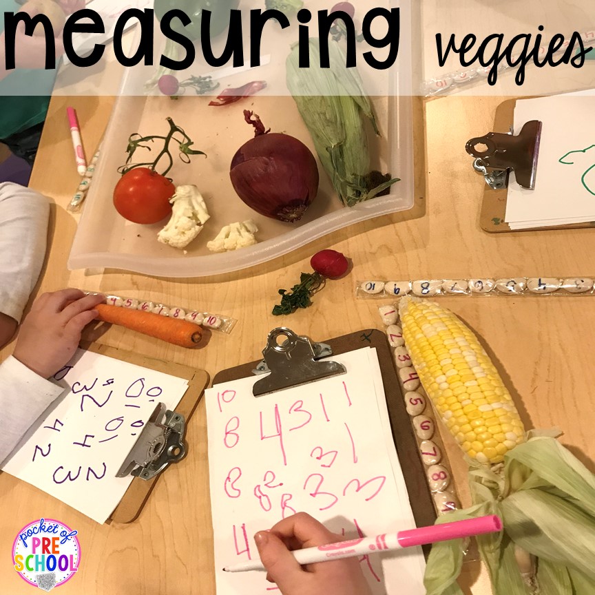 Measuring veggies non-standard measurement fun more fun farm math & science activities for my preschool, prek, and kindergarten kiddos. #farmtheme #preschool