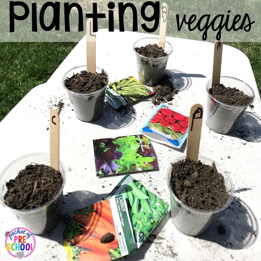 Planting veggies for a farm theme more fun farm math & science activities for my preschool, prek, and kindergarten kiddos. #farmtheme #preschool