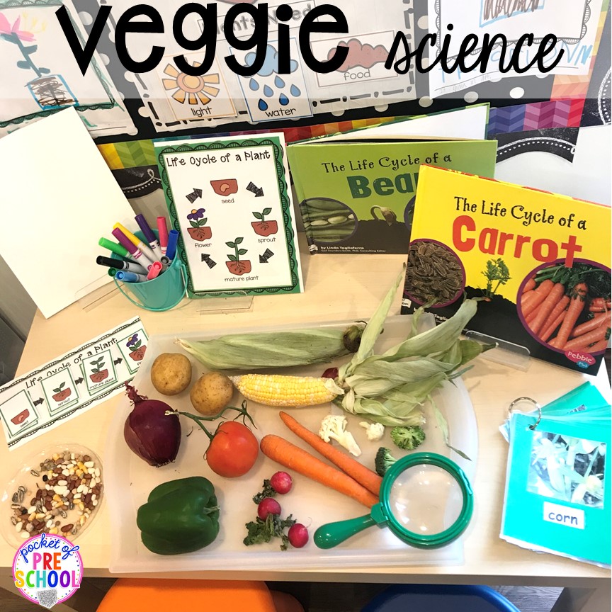 Veggie science exploration more fun farm math & science activities for my preschool, prek, and kindergarten kiddos. #farmtheme #preschool