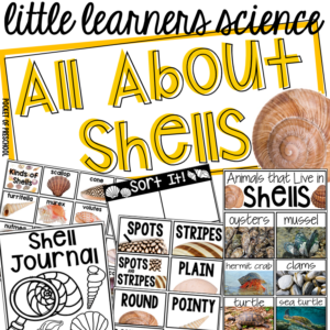 All About Shells - a science unit for preschool, pre-k, and kindergarten with real photos, investigations, parent note, and teacher plans.