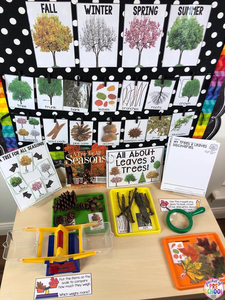 Fall leaves, trees, and seasons science table for preschool, pre-k, and kindergarten! Perfect for a tree study or a leaves study. 