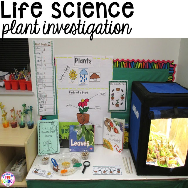 Life science investigation for preschool students - plants - with freebies