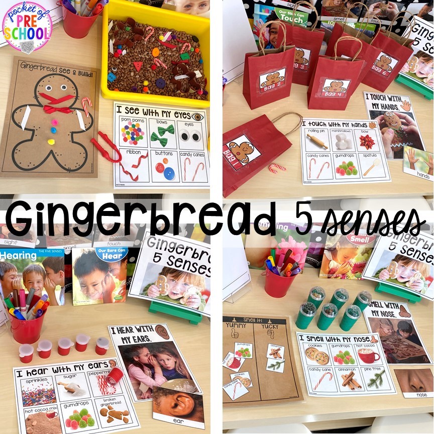 Gingerbread 5 senses science activities! My go to Christmas themed math, writing, fine motor, sensory, reading, and science activities for preschool and kindergarten.