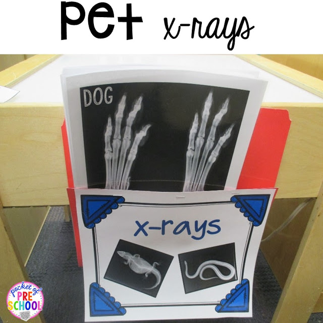 Vet Pet Hospital Dramatic Play for preschool, pre-k, and kindergarten. Tips, tricks, and fun ideas for your classroom.