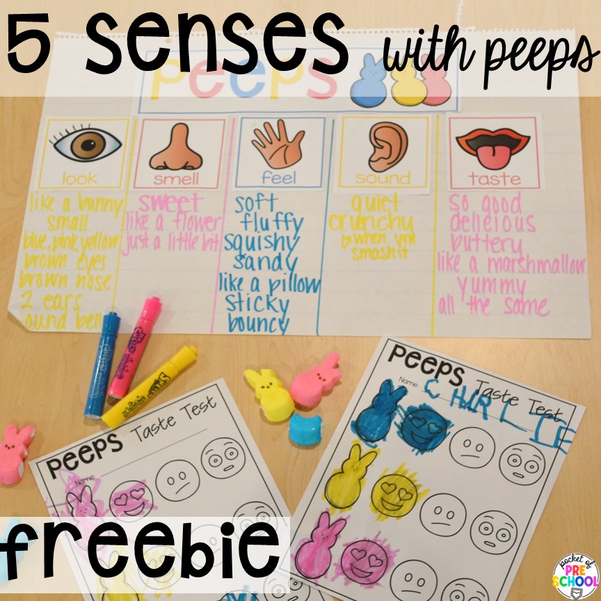 5 Senses with Peeps Freebie! Easter-themed activities and centers preschool, pre-k, and kindergarten students will love.