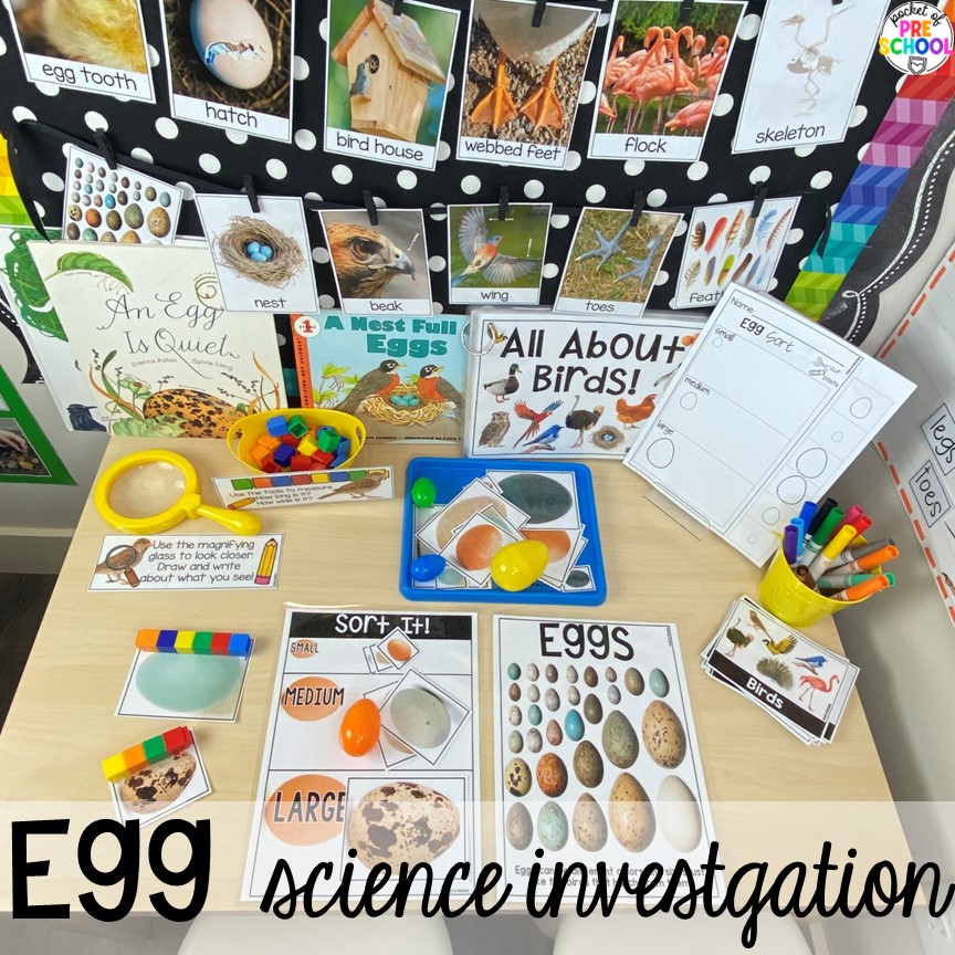 Egg Science Investigation! Perfect for an Easter or spring theme in a preschool, pre-k, or kindergarten classroom.