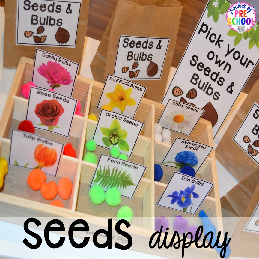 Seed display in our Garden Shop Dramatic Play for a spring theme, Mother's Day theme, or summer theme when everything is growing and blooming. Any preschool, pre=k, and kindergarten kiddos will LOVE it (and learn a ton too). #flowershop #gardenshop #presschool #prek #dramaticplay
