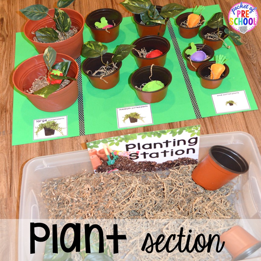Plant section in our Garden Shop Dramatic Play for a spring theme, Mother's Day theme, or summer theme when everything is growing and blooming. Any preschool, pre=k, and kindergarten kiddos will LOVE it (and learn a ton too). #flowershop #gardenshop #presschool #prek #dramaticplay