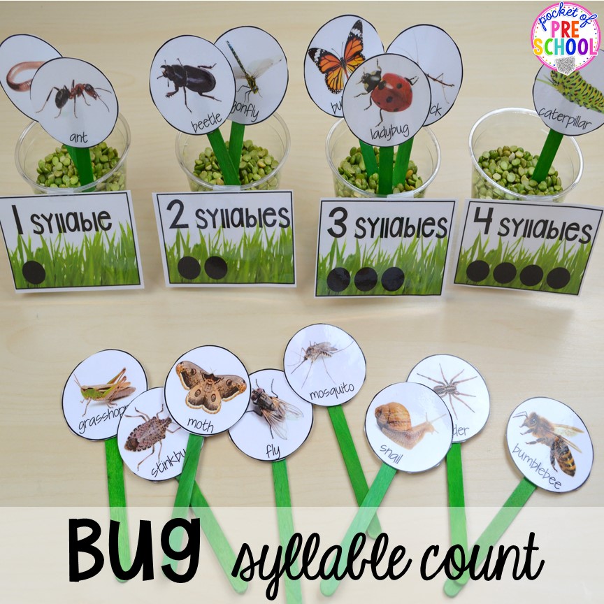 Bug syllable count! Bug themed activities and centers for preschool, and kindergarten (freebies too)! Perfect for spring, summer, or fall! #bugtheme #insecttheme #preschool #prek #kindergarten