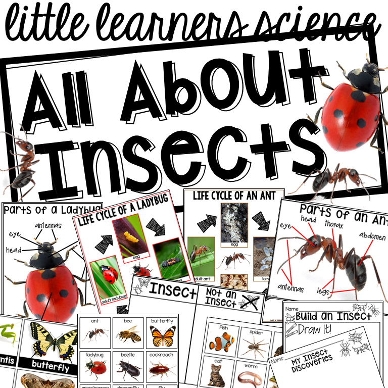 All About Insects Science unit for preshcool, pre-k, and kindergarten. 