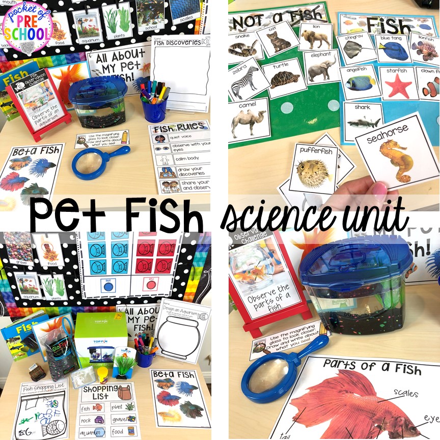 Pet fish science unit for preschool, pre-k, and kindergarten #preschoolscience #sciencecenter #prekscience #kindergartenscience