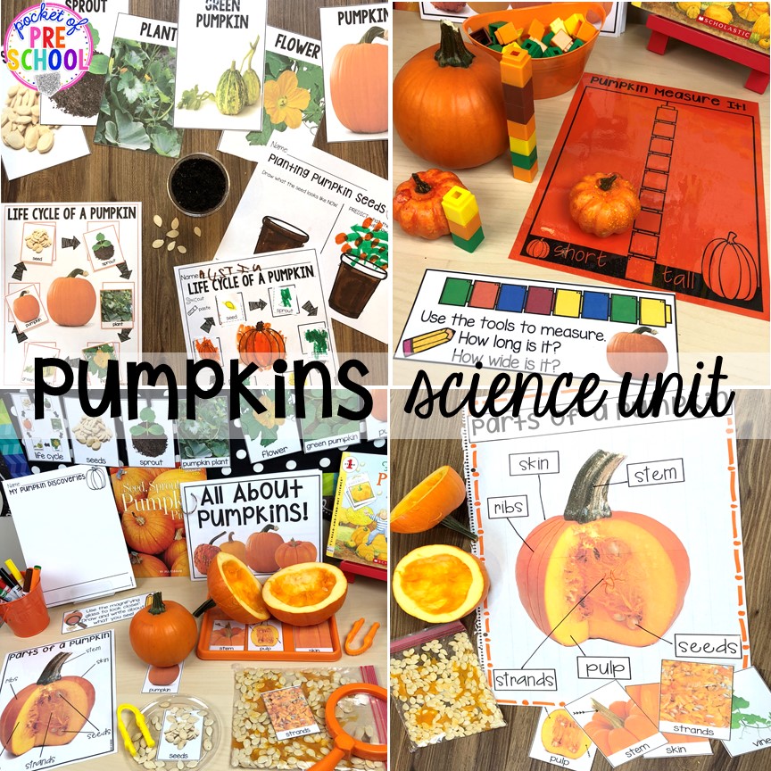 Pumpkin science unit for for preschool, pre-k, and kindergarten #preschoolscience #sciencecenter #prekscience #kindergartenscience