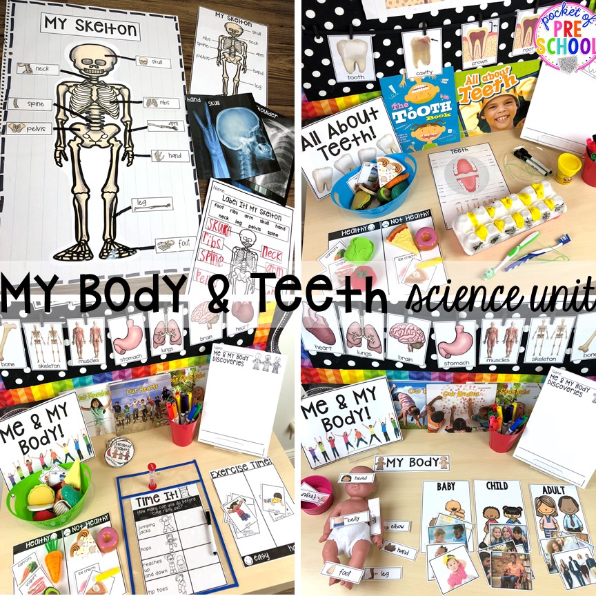 My body or health science unit and dental health science unit for preschool, pre-k, and kindergarten #preschoolscience #sciencecenter #prekscience #kindergartenscience