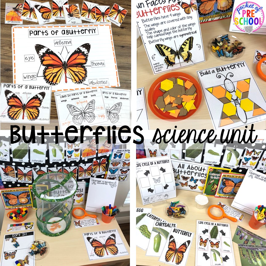 Butterflies science unit for preschool, pre-k, and kindergarten #preschoolscience #sciencecenter #prekscience #kindergartenscience
