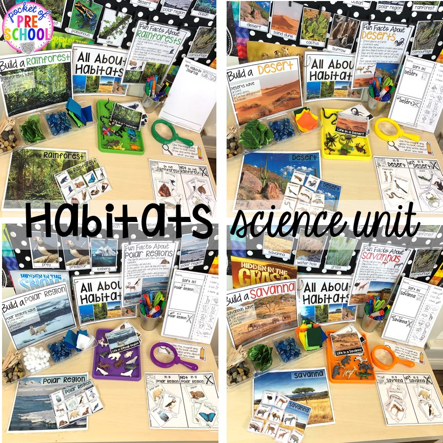 Habitats science unit (rainforest, savanna, desert, ocean, polar region) for preschool, pre-k, and kindergarten #preschoolscience #sciencecenter #prekscience #kindergartenscience