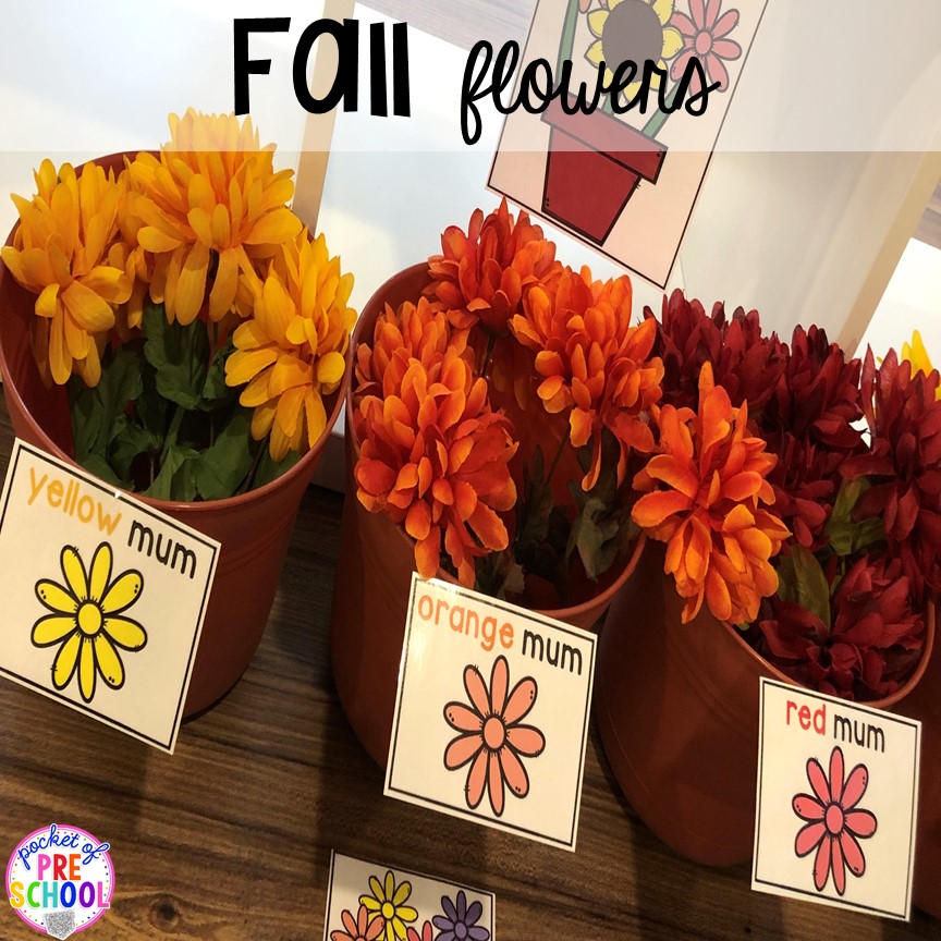Fall flowers (sorting by color) - How to change pretend into an Apple Orchard for preschool, pre-k, and kindergarten. #appleorchard #dramaticplay #pretendplay #preshool #prek #fall