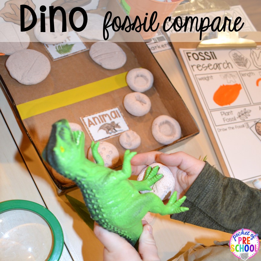 Fossil compare! ow to make a Dinosaur Dig Site in dramatic play and embed tons of math, literacy, and STEM into their play. Perfect for preschool, pre-k, and kindergarten. #preschool #prek #dinosaurtheme #dinodig #dramaticplay