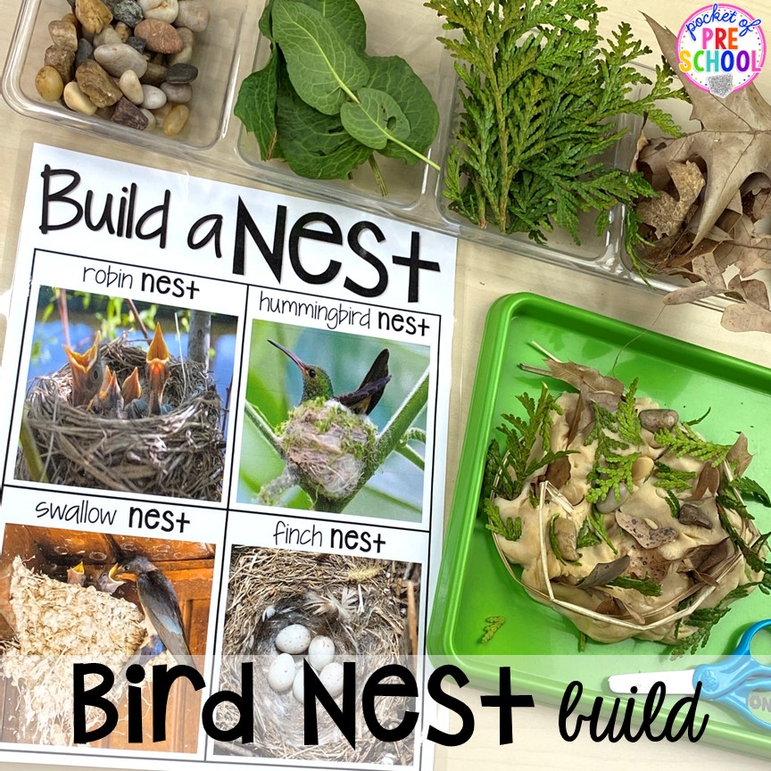 Build a bird nest nature play dough tray plus tons of Bird activities (literacy, math, fine motor, science) and FREE bird play dough mats perfect for preschool, pre-k, and kindergarten.