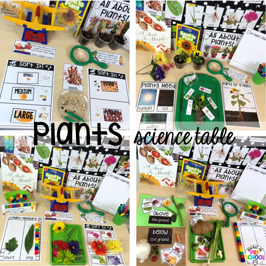 Plants Science Tables! Plant activities for preschool, pre-k, and kindergarten students to learn and grow this spring or summer. 